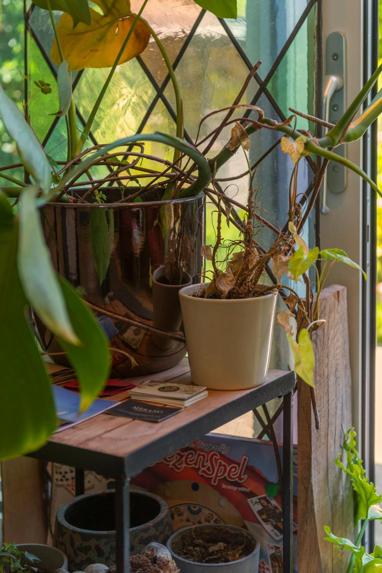 Tiny House - Leenfietsen, Eigen Keuken En Badkamer Nimwegen Exterior foto